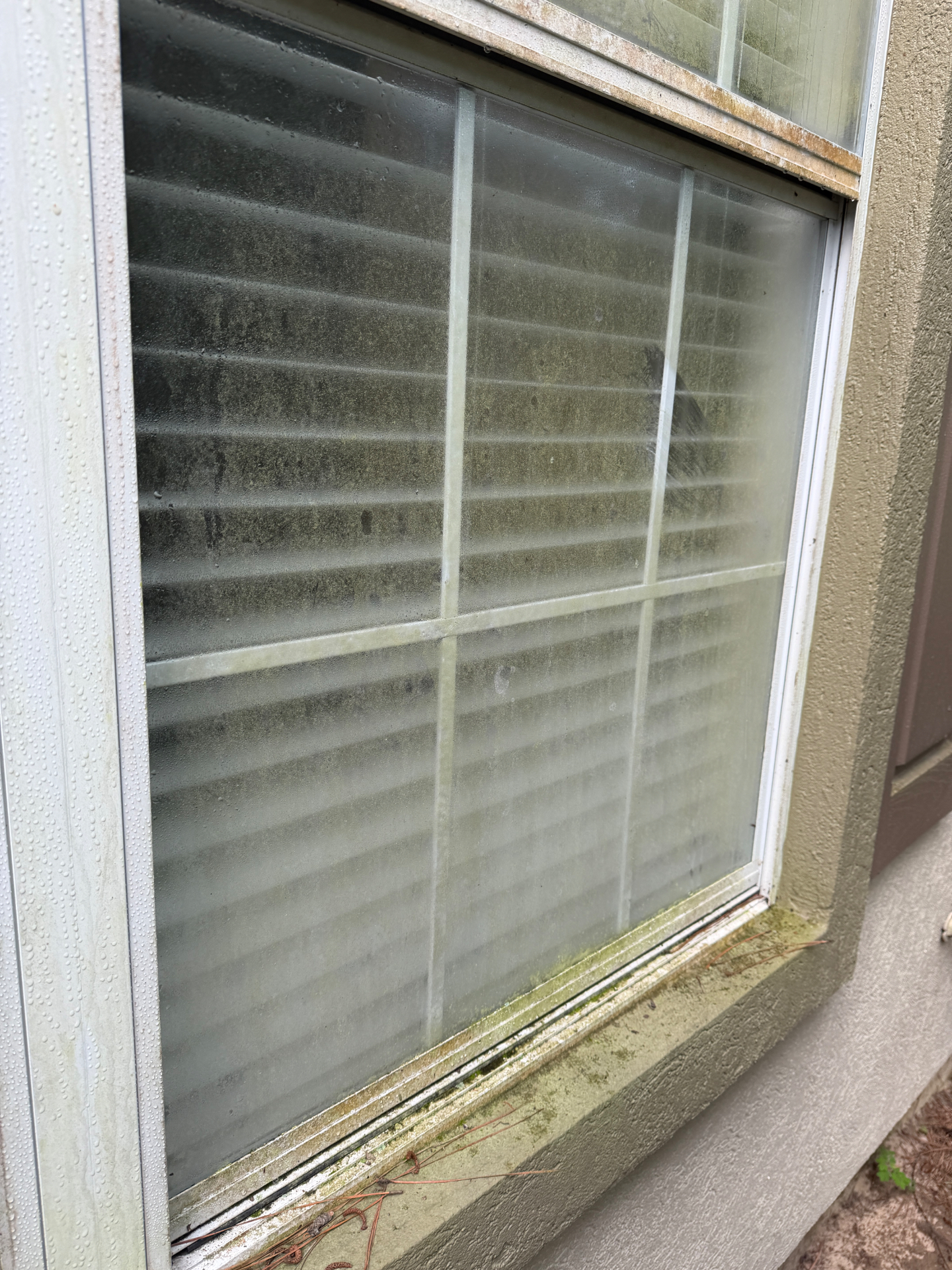 Side-elevation double hung before — window cleaning in Valdosta, GA