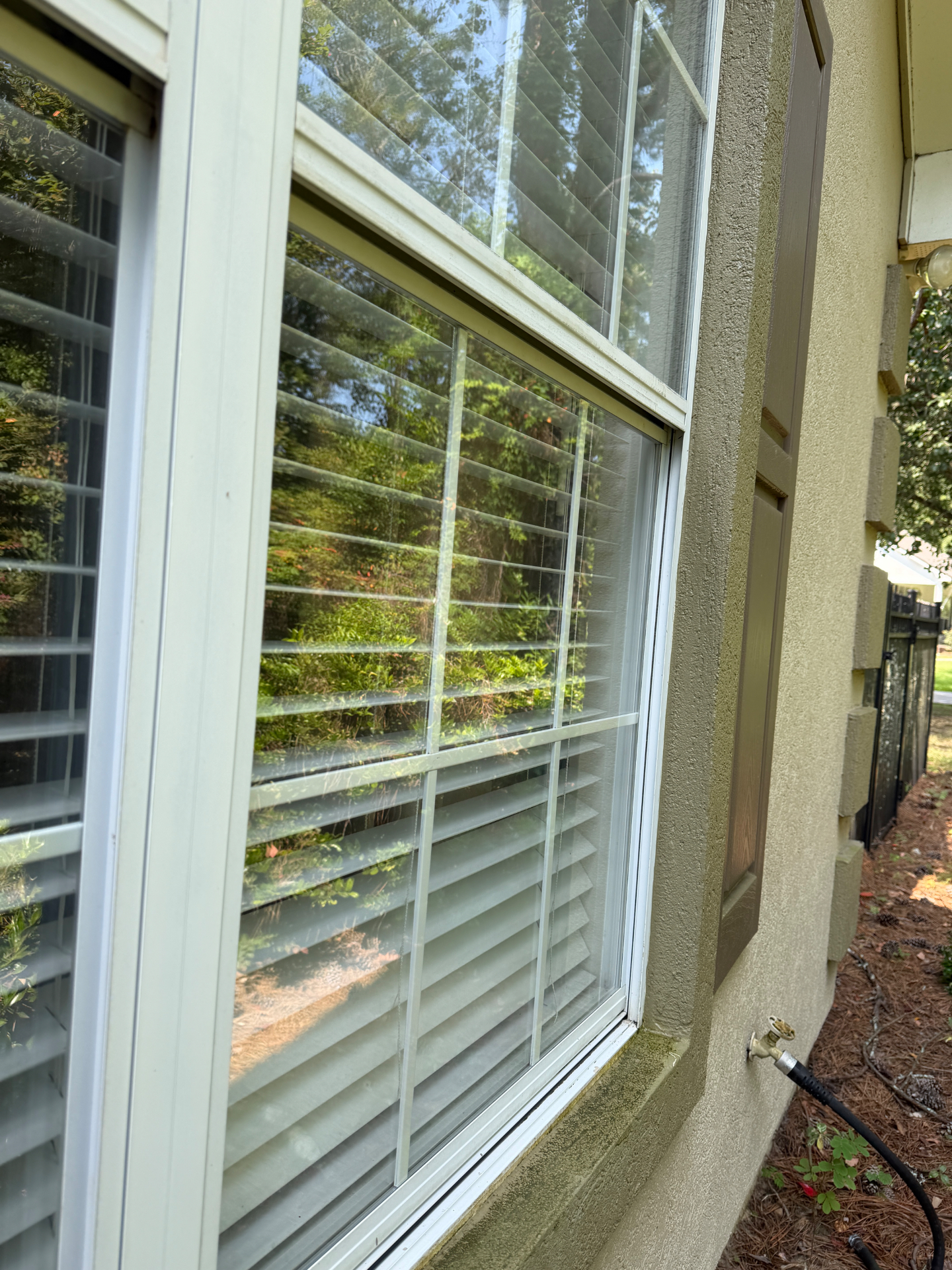 Side-elevation double hung after — window cleaning in Valdosta, GA