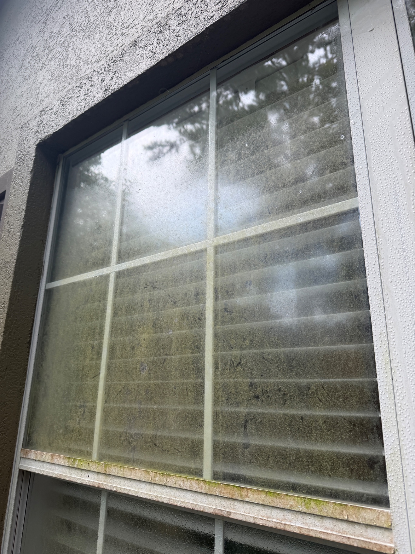 Stucco-frame picture window before — window cleaning in Valdosta, GA