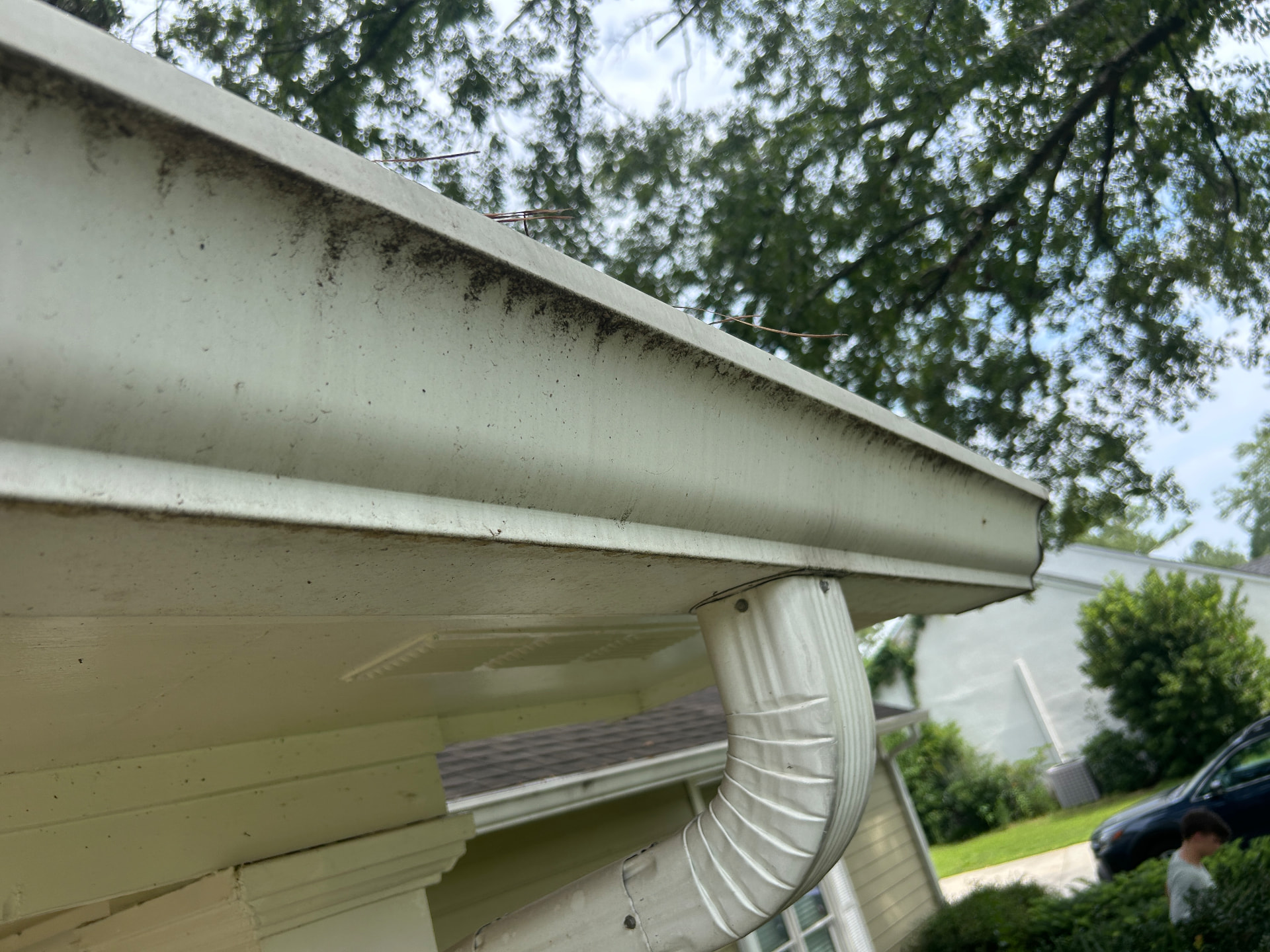 Front roofline & downspout before — gutter cleaning in Valdosta, GA